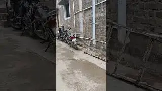 sabse jyada speed ham log ke sath sab log Se jyada