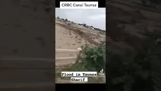 CRBC canal taunsa shareef - Flood Seen