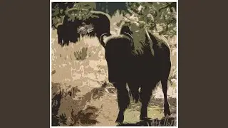 Leave Her Wild