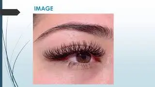 Best Eyelash Services in Arnold Acres