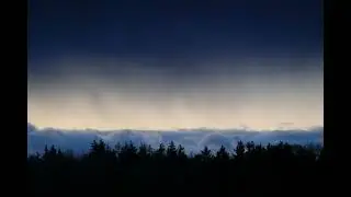 Forest Rain Sounds | Deep Sleep & Relaxing Nature Ambience