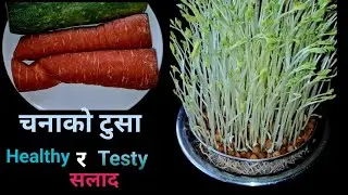 पाचनका लागी राम्रो ! दैनिक खानाका लागी स्वस्थ सलाद!  Easy Salad Recipe.