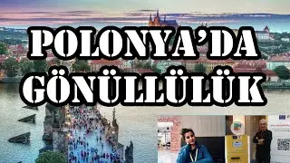 Polonya'da Gönüllülük ve Ayrılış Süreci