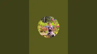 Richa Ranu is live jay mata dii katra