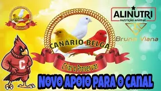 CHEGARAM OS PRODUTOS DO NOSSO PATROC&Iacute;NADOR #canariobelga #alinutri