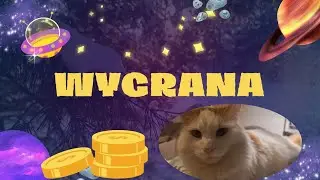 Kot🐈 czaruje i PARADISO nie zawodzi 🤑💰 #lotto #wygrana #zdrapki 