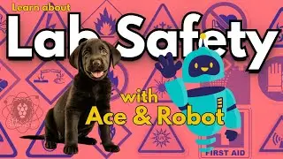 General Lab Safety Middle School Science