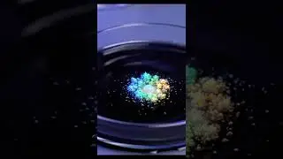 Futuristic ASMR: Black Liquid Shimmering Like Mercury in Petri Dish #Satisfying #scienceasmr