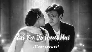 Dil Ka Jo Haal Hai | Midnight Lofi 🌌 | Relax & Feel | Headphones Recommended @PrinSaaz 
