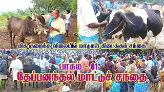 Theppananadhal Santhai தேப்பனந்தல் மாட்டுச் சந்தை #market #cow #tamilnadu #tiruvannamalai #sandhai
