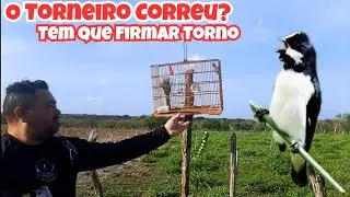 🏕BIGODINHO TORNEIRO🌳 BORA FALAR DELES✍🏻