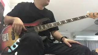 Pomplamoose - Digital Love - Daft Punk - Bass cover by Tingbass - Fender Jazzbass 1977