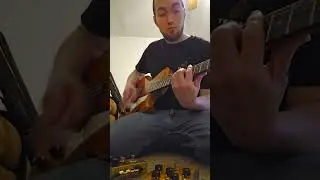 PTD Trombetta Rotobone v2 Dual Ge vs Analogman Sunface CV7005