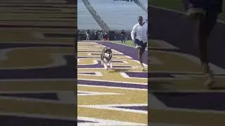 Dubs II vs. RGIII is the content you didn't know you needed #shorts #collegefootball