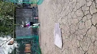 cut shot practice session full # 50g plastic ball # cricket equipment #jca