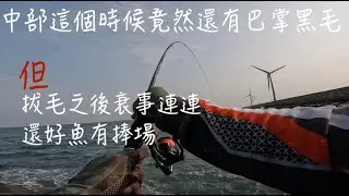 [磯釣]軟竿細線博大魚～出事了#磯釣り #鹿港 #黑毛 #毛小孩 #黑鯛