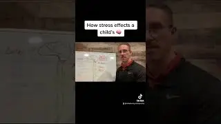How stress effects a child&rsquo;s brain