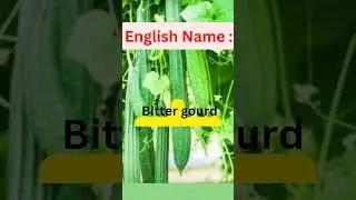English Name: Vegetables | #shorts #short #ytshorts #trending #viral