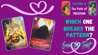⛓️&zwj;💥Which One BREAKS the Pattern? 🐦&zwj;🔥 March 2025