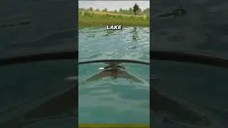 THIS MOD GIVES YOU YOUR OWN POOL🚣&zwj;♀️#fs25 #farming #farmingsimulator25