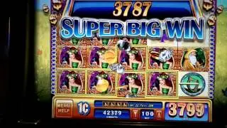 Summer Solstice WMS Slot Machine SUPER BIG WIN Line Hit