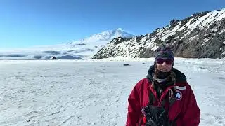 Parker Levinson Reports From Big Razorback Weddell Seal Pupping Colony