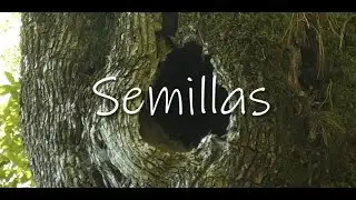 Cortometraje ''Semillas'' premios MAJA Andaluc&iacute;a