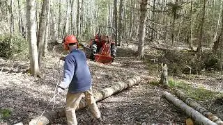 Stud Wood Salvage:  Farmi JL290 Winch and 30 hp Kubota