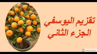 درس تقزيم اليوسفي  للمبتدئين الجزء الثاني
