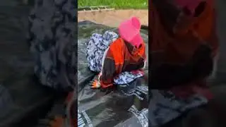 hit song#viral #jaatjatni #farming #comedy #funny #dairyherd #minivlog #baffalo #animals#