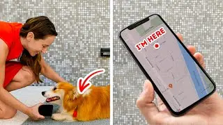 How TO SAVE YOUR PET'S LIFE? || Fantastic Gadgets For You | Kitchen, Pets, Beauty, Cleaning