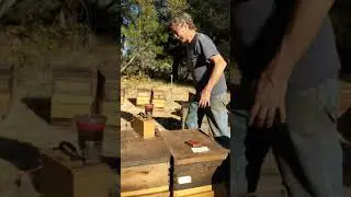 Randy with mite wash with shaker prototype