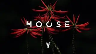 Joep Mencke - Trust The Wild