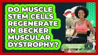 Do Muscle Stem Cells Regenerate In Becker Muscular Dystrophy? - Muscular Dystrophy Support Network