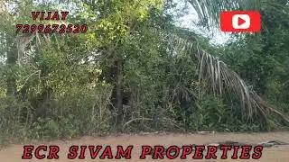 243///ECR SIVAM PROPERTIES 7Acre 84cent   punjai semman property price 18,000 negotiable 7299672520