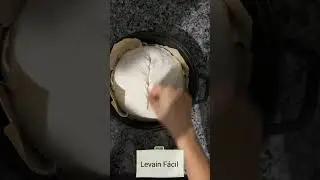 Fermento Natural Levain