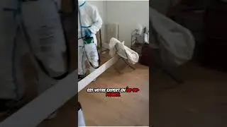Urban Hygiene Solutions anti nuisible