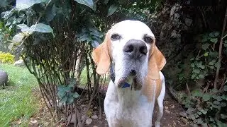 S&aacute;bado con muchos invitados