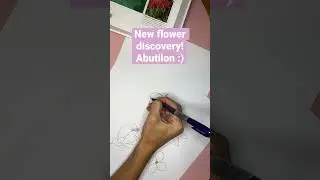 Have you ever heard of abutilon flowers?