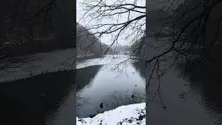 Calm Walk Through Snow ❄️