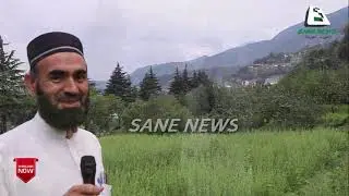 The Activities of Billion Tree Tsunami Project