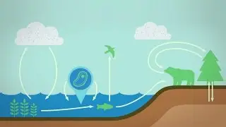 Una gu&iacute;a de la energ&iacute;a de la Tierra - Joshua Sneideman