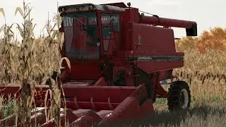 Starting corn harvest[ 1st generation farming] [ep3]