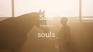 Safe is exciting.