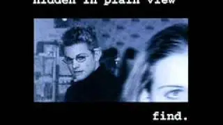 Hidden in Plain View - Jerzey Nonesense