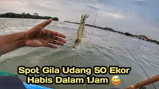 Spot Gila,,! Mancing Cuma 1Jam di Depan TPI Woker Bawa Udang 50Ekor Langsung Habis..!!