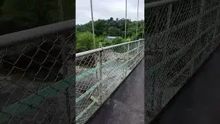 Arippara
