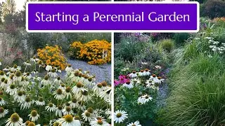 Starting a Perennial Garden - Loads of Inspiration!