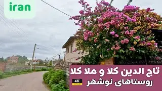 Iran's Hidden Paradise: Swiss-Like Villages of Tajeddin Kala & Molla Kala in Sisangan Forest سیسنگان
