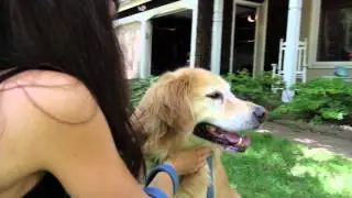 SABRE Dog Spray -- Health Canada Approved -- Professional Model with Flip Top